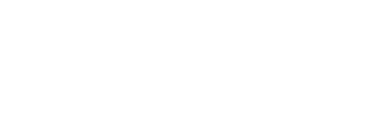 Vadosan Racing Division